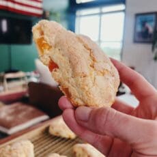 close up of freshly baked apricot ginger scones, with fruit showing through the fluffy dough